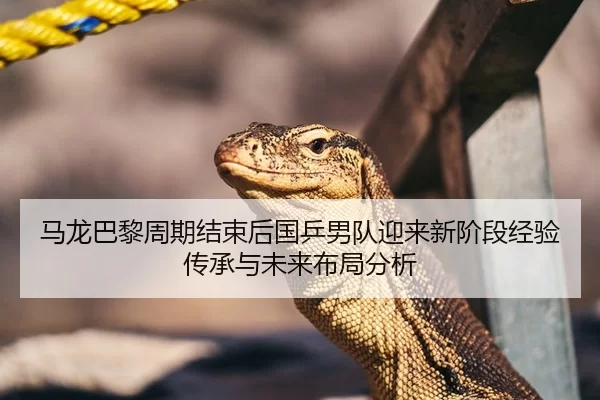 马龙巴黎周期结束后国乒男队迎来新阶段经验传承与未来布局分析